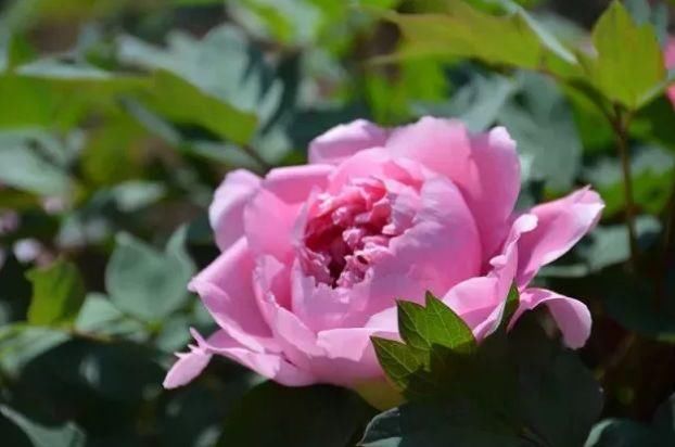 说好的过年昆明变空城呢?城里城外……分分钟被这场面惊呆了