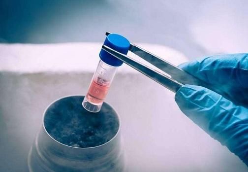 走进脐带血储存:深度解析公共库与自体库的区