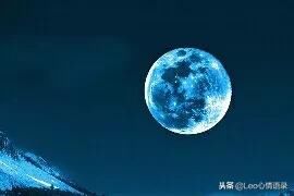 t01e180965a6c702c9c.jpg