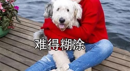 《搞笑的汽车》又客栈diss另外一老板!马上王卖个人包表情亲爱图片
