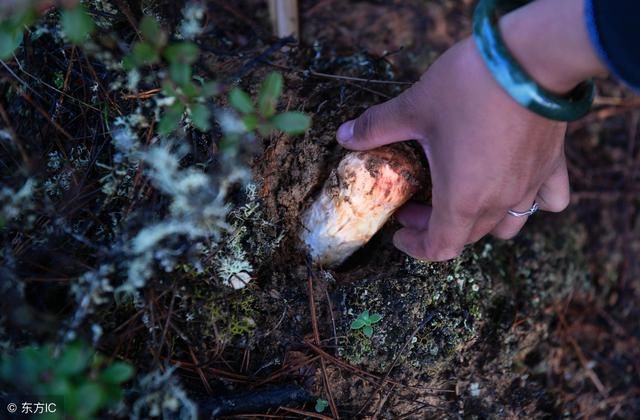 冰箱里的4种食物是大肠癌的“导火线”！现在告诉家里人还不迟