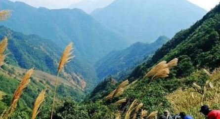 好消息:农村退耕还草、退耕还林新补贴,最高1600元