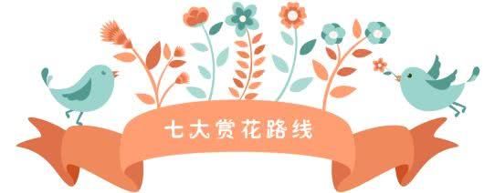 春节来，春花开！成都赏花7大路线9大组团出炉！