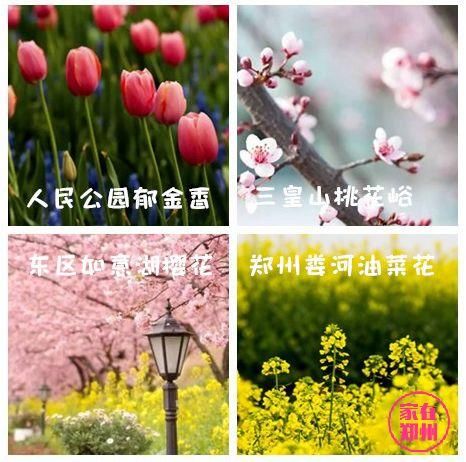 下周起，郑州要大变样了…很多事情你根本没想到!