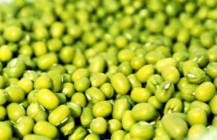 老中医提醒:绿豆不能和什么一起吃,绿豆和它一