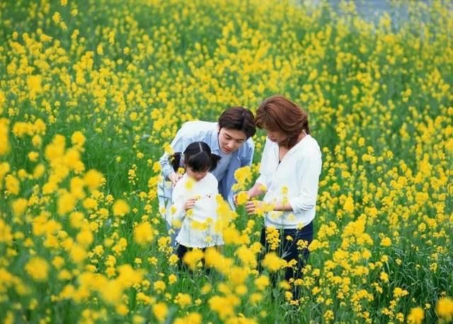 五一 假日 攻略 北京游玩哪家强?