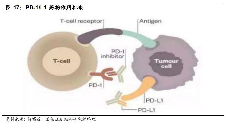 1千亿美元gdp国家_一千亿美元照片(2)