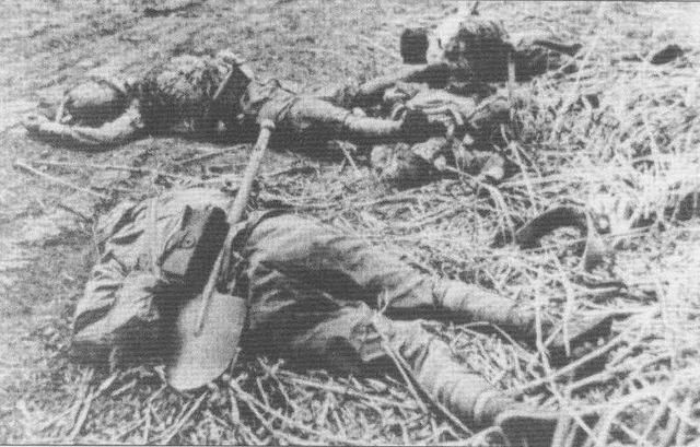 瓜达卡纳尔岛战役,日本鬼子端着刺刀冲机枪,三