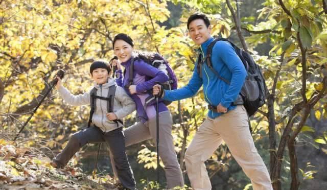 2019年共多少起地震