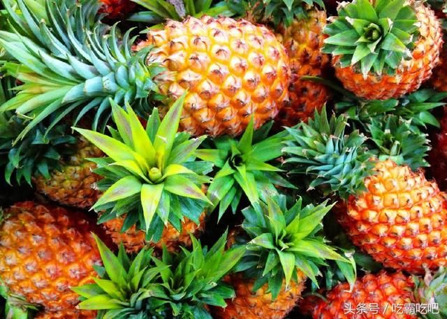国外5种廉价的水果,中国却比较贵!第3个比菠萝