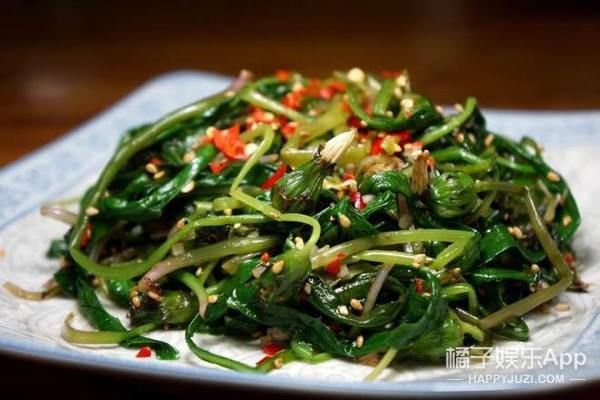 不负春光不负卿，来颗野菜行不行？