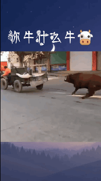 搞笑GIF:宝贝,等会把妆卸了给我看看吧? 云顶国际代理网