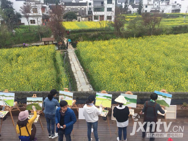 婺源:油菜花开带动\＂徽派民宿\＂经济
