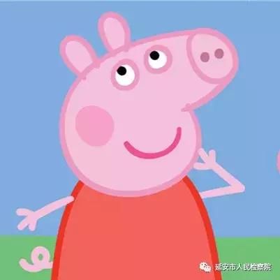 知否知否,扫黑除恶知多少?