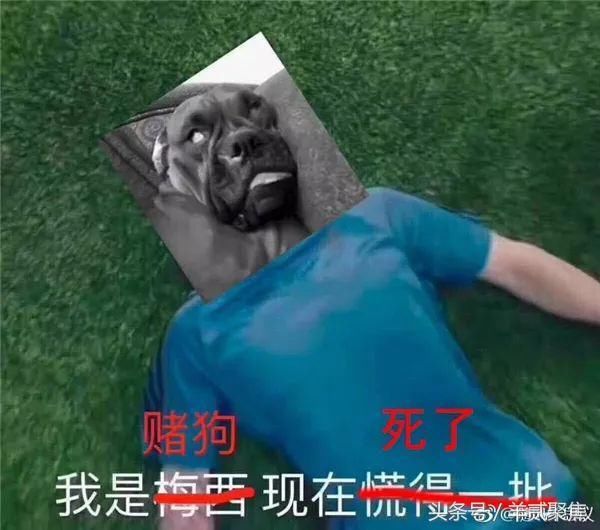 世界杯冠军?德国输球后,段子手们已经累坏,最