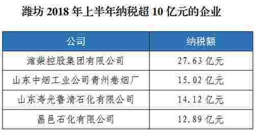 潍坊上半年纳税最多的企业是.
