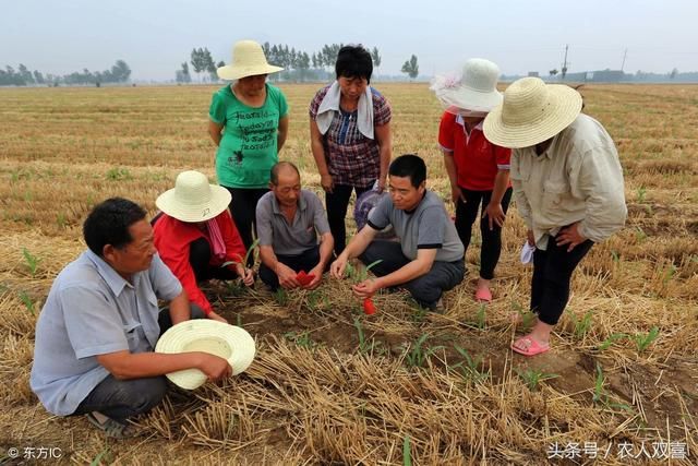 农人双喜：干了4天活，赚了6000万，农民几辈人需要种多久的地？