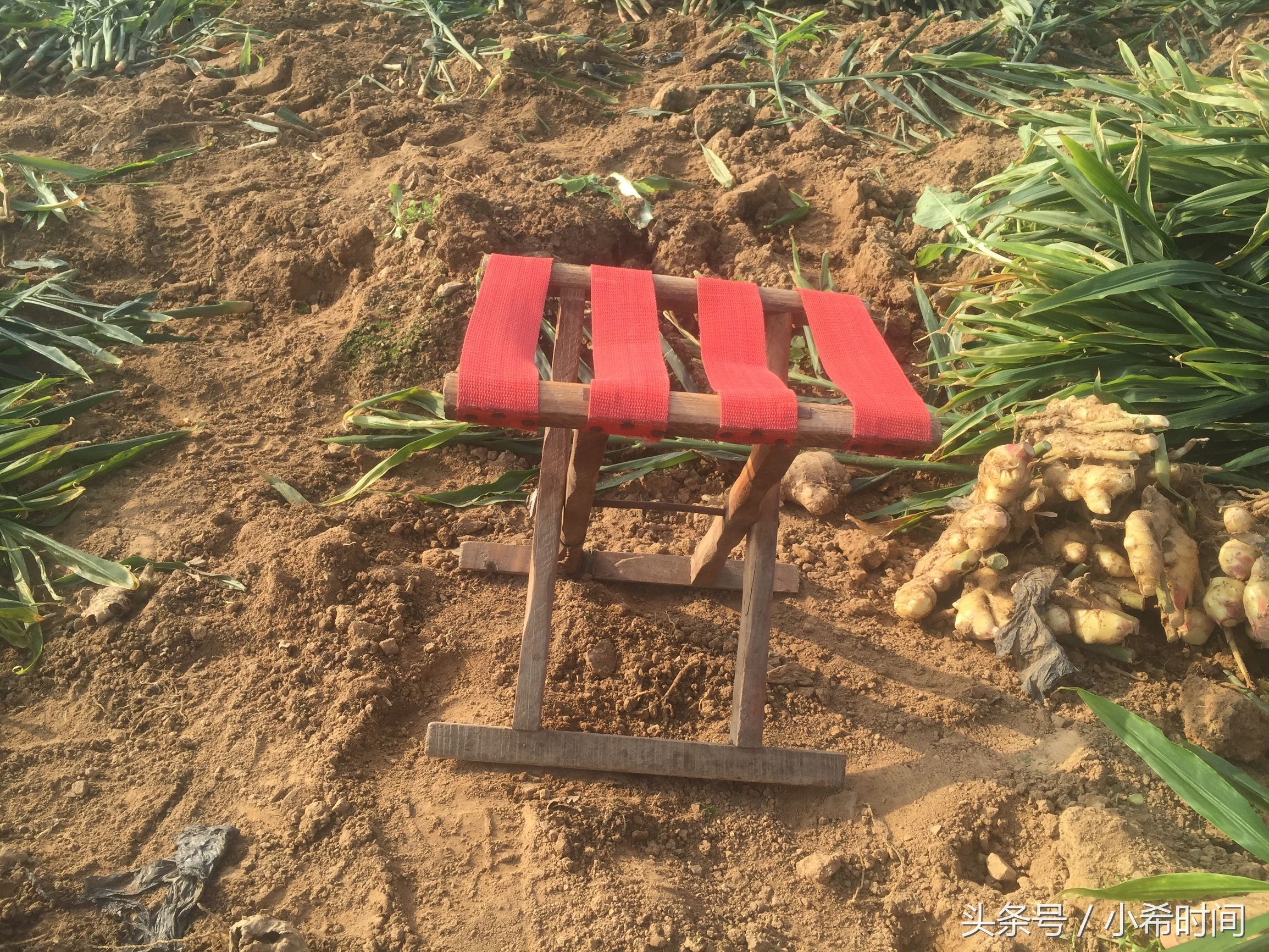 山村一亩三分地_二亩地收入(2)