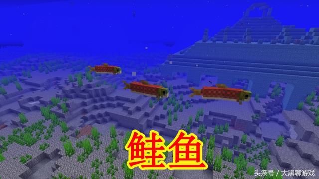 我的世界1.13最新版：新增1种最快生物、1种最矮生物和4种鱼类！