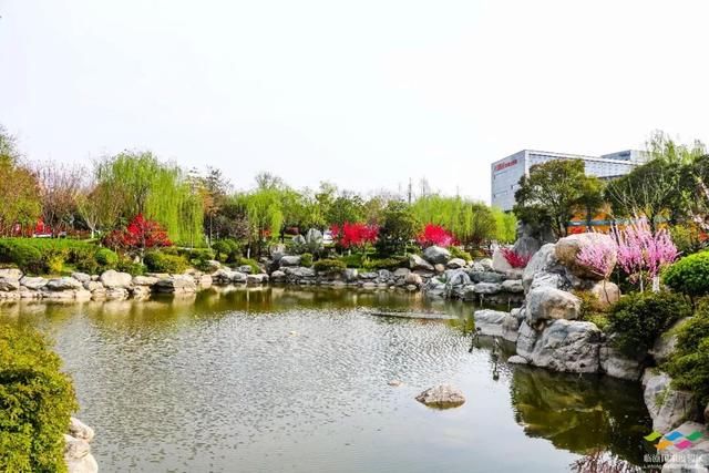 春满中国 醉西安｜春游好去处：在临潼度假区芷阳广场听见花开的