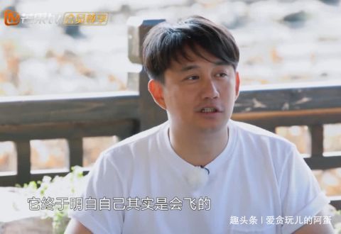 《向往3》一季生活费200元,再看何炅手里钱的