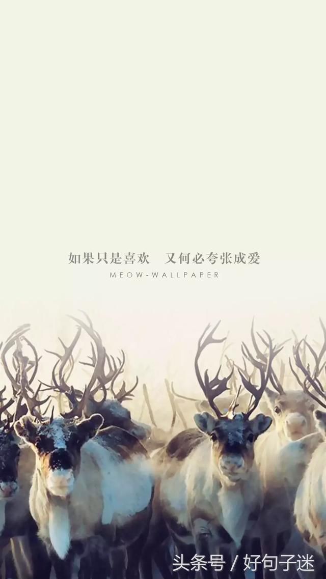 朋友圈负能量爆棚的经典语录,现实又很扎心的句子