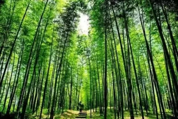 看瀑布不必去看黄果树，还有这些性价比超高的景点不被人知道