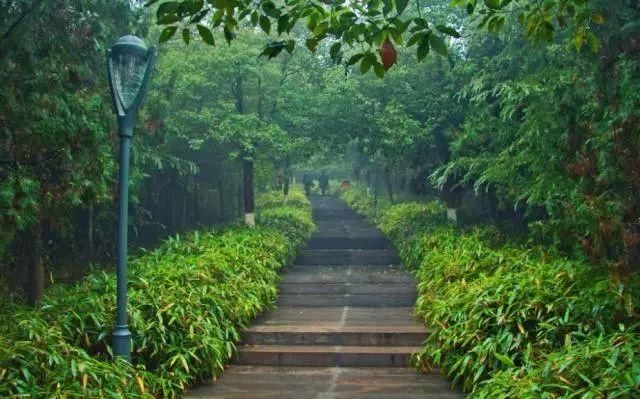 南京这些超适合一日游的地方,每一个都美如画!不看要后悔!