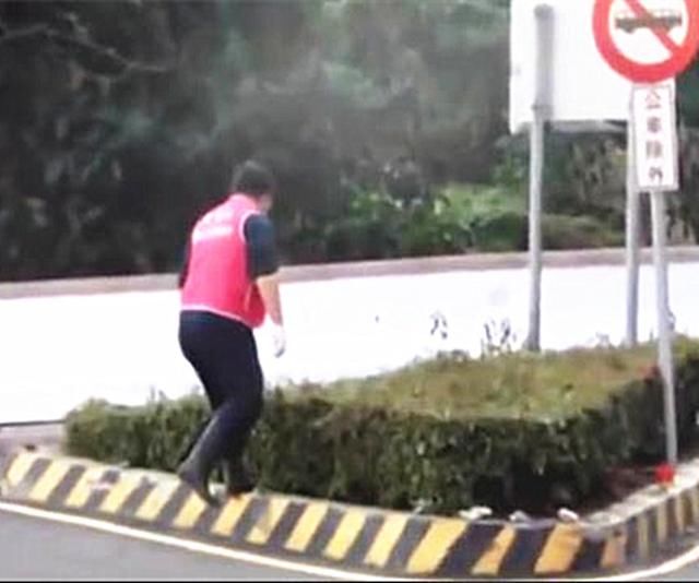 流浪狗难产遭人驱逐,绝望躲矮灌木生产,暖心大