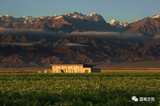 6个葡萄酒旅游新去处，你都get到了吗?