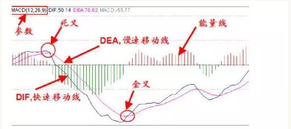 中国股市再次爆发“股灾”凶潮，亏损散户还能存活多久？