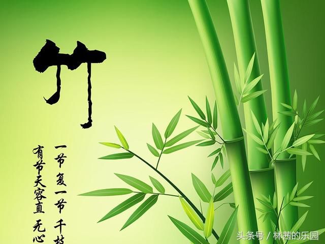 民国时期的12首著名诗词，堪称经典，独具特色，不输唐宋诗词！