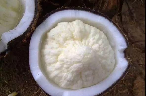 给在三亚过年的哈尔滨人,据说这些是当地人最爱的特色美食!