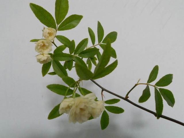 又是一年高考季,10首励志古诗祝天下学子长风破浪