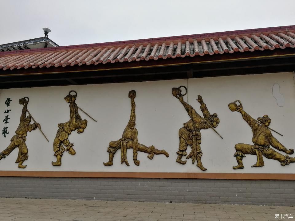 参观牛碾坪万亩观光茶