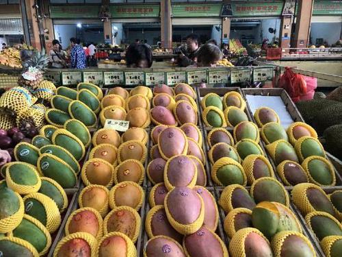 三亚本地人经常光顾的水果市场,超大芒果如此