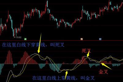 啥是金叉和死叉 t01e557c6e8964d5bfc.jpg