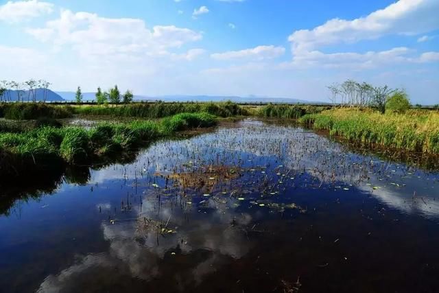 被称为地球之肾的湿地，如何健康的进行旅游开发？