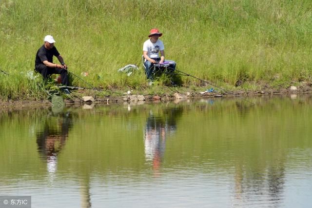 夏天垂钓何时钓浅何时钓深？7个小口诀助你鱼获翻倍