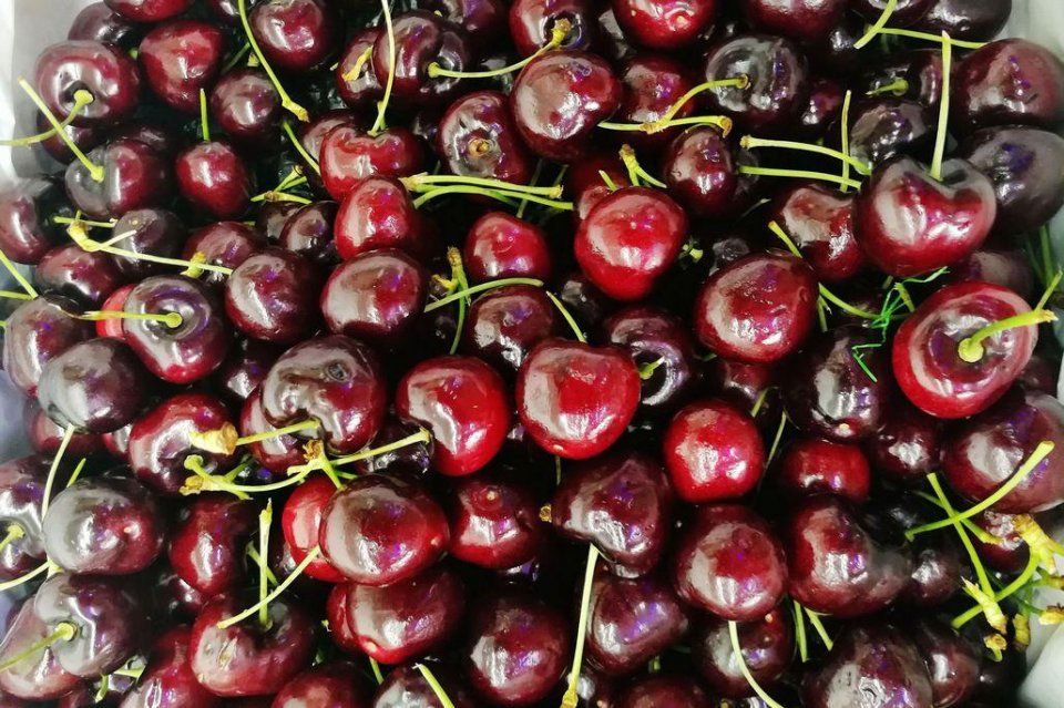 离核桃10元3斤 鲜枣一盒3斤100元 水果店水果