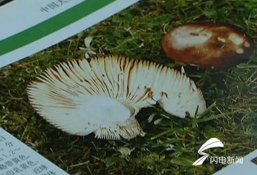 莱芜8岁男孩食用野蘑菇中毒追踪:第7天 男孩仍