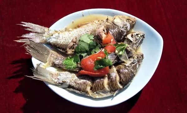 磴口县第四届黄河鱼健康美食烹饪大赛圆满落幕 太好吃!不想回家
