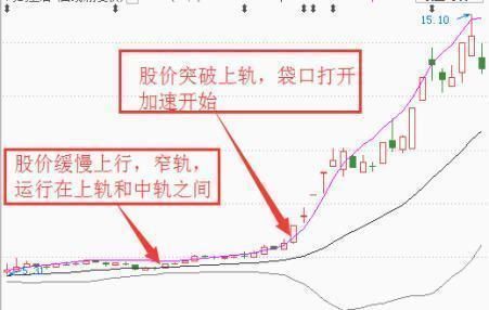 中国股市最大的“股灾”终于落下帷幕，机构从此将处在放大镜之下