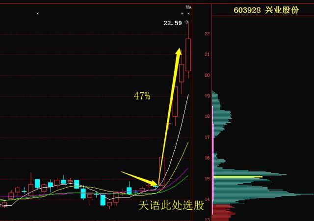 国产芯片第一龙头跌至5元，机构980亿底部锁仓，有望成摇钱树