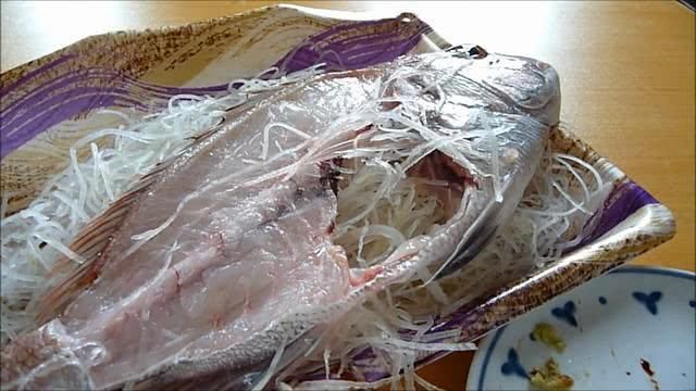 女孩去日本旅游,一口气吃了2斤的生鱼片,结账时懵了!