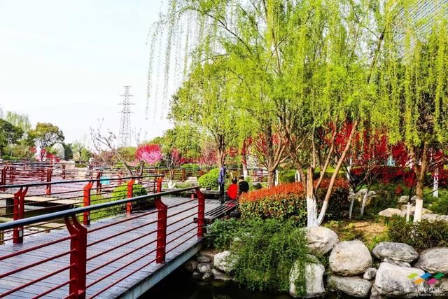 春满中国 醉西安｜春游好去处：在临潼度假区芷阳广场听见花开的