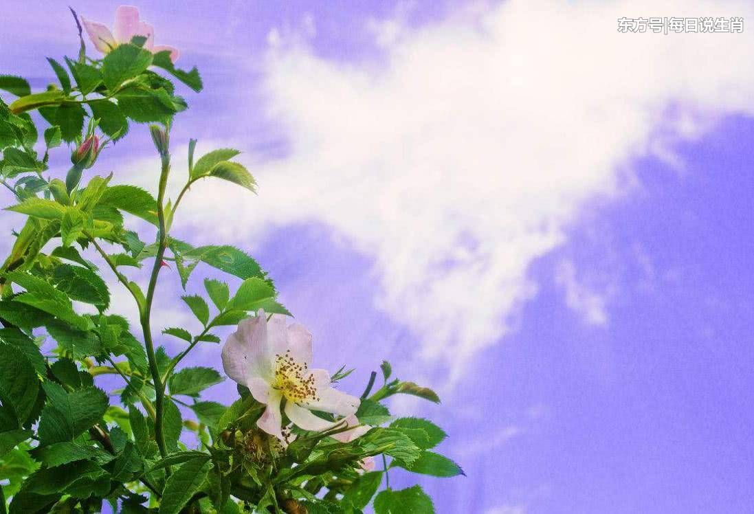 财运不够旺?再过5天三大生肖财神罩着,发财66顺,马上有钱花