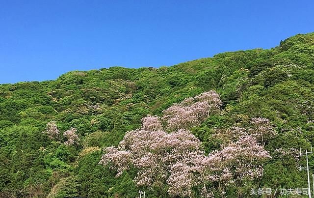 自由-任性的旅程越前海岸慢-享-秘境日本（十）