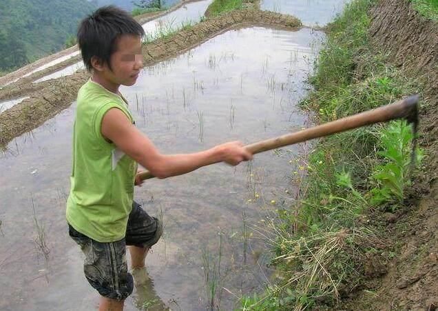 做了上门女婿，大年初一妈妈送来腊肉，我决定跟她断绝母子关系