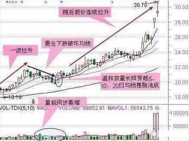 炒股的人最后都去哪里了